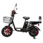 20-inch Ilan Princess II instrument head front and rear oil dish brushless gearless motor lithium battery electric bicycle